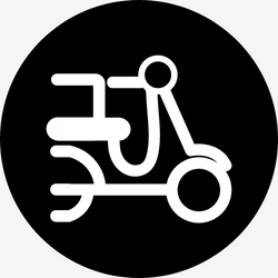 FREE DOMESTIC SHIPPING $39.5+