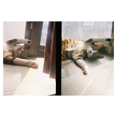 Kodak H35 Half Frame Film Camera