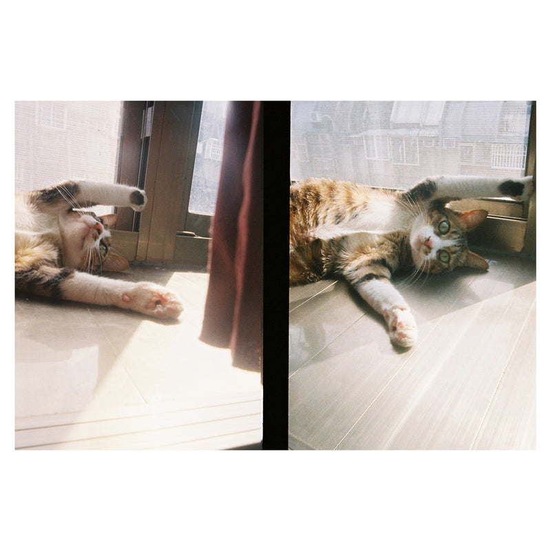 Kodak H35 Half Frame Film Camera