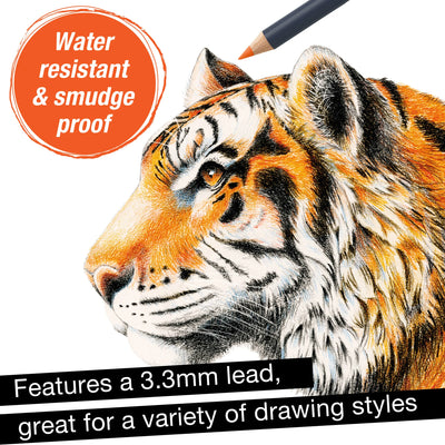 Faber-Castell Goldfaber Color Pencil Sets 12 Count