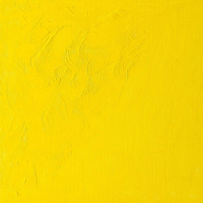 Winsor & Newton Winton Oil Colors - 37 ml