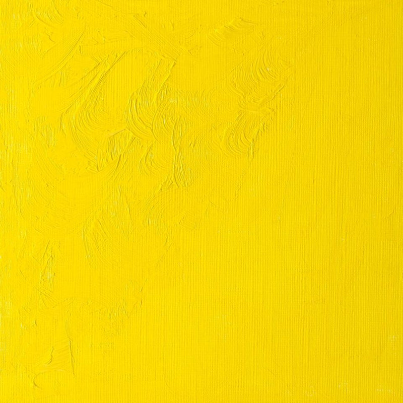 Winsor & Newton Winton Oil Colors - 37 ml