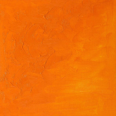 Winsor & Newton Winton Oil Colors - 37 ml