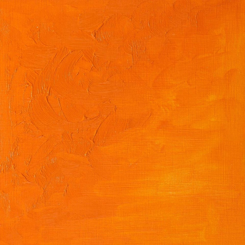 Winsor & Newton Winton Oil Colors - 37 ml