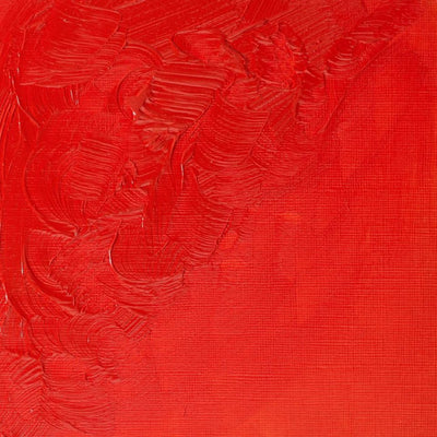 Winsor & Newton Winton Oil Color - 200 ml