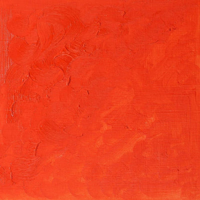 Winsor & Newton Winton Oil Colors - 37 ml