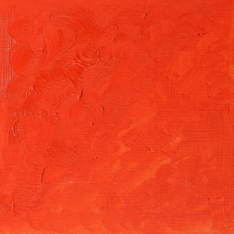 Winsor & Newton Winton Oil Colors - 37 ml