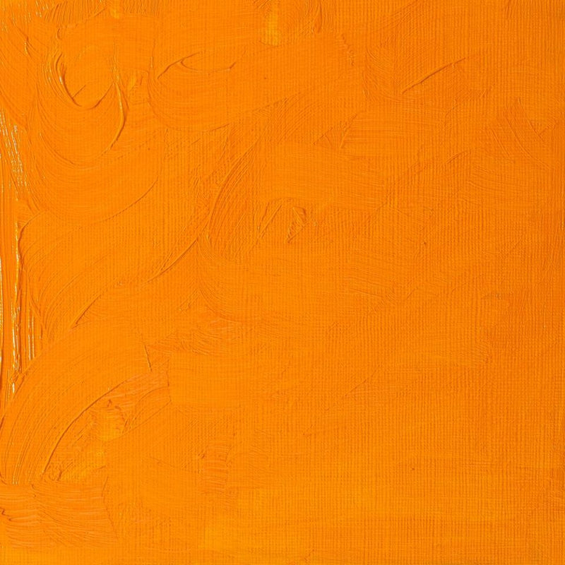 Winsor & Newton Winton Oil Colors - 37 ml