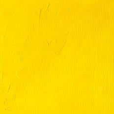 Winsor & Newton Winton Oil Colors - 37 ml