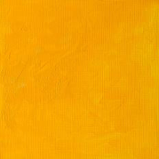 Winsor & Newton Winton Oil Colors - 37 ml