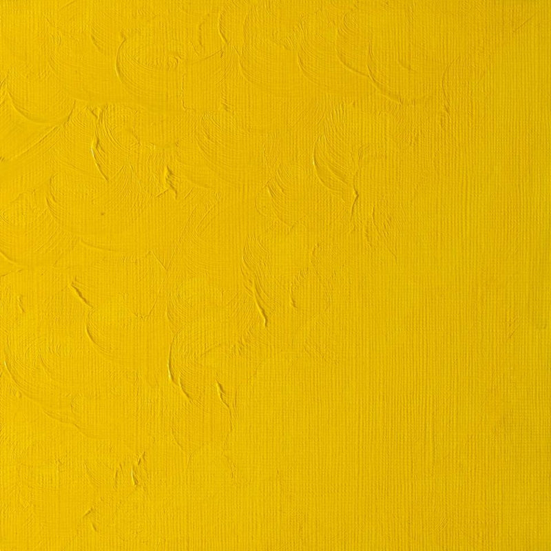 Winsor & Newton Winton Oil Color - 200 ml