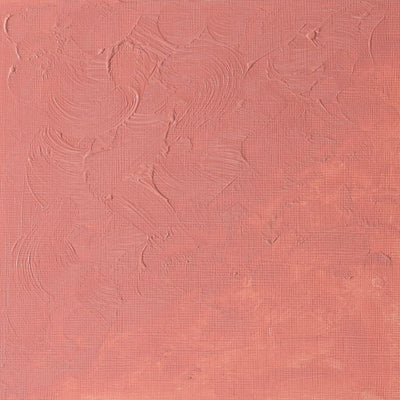 Winsor & Newton Winton Oil Color - 200 ml