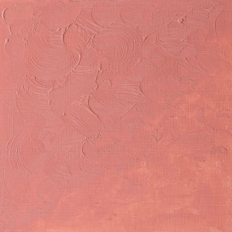 Winsor & Newton Winton Oil Color - 200 ml