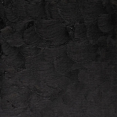 Winsor & Newton Winton Oil Color - 200 ml