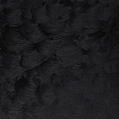 Winsor & Newton Winton Oil Color - 200 ml