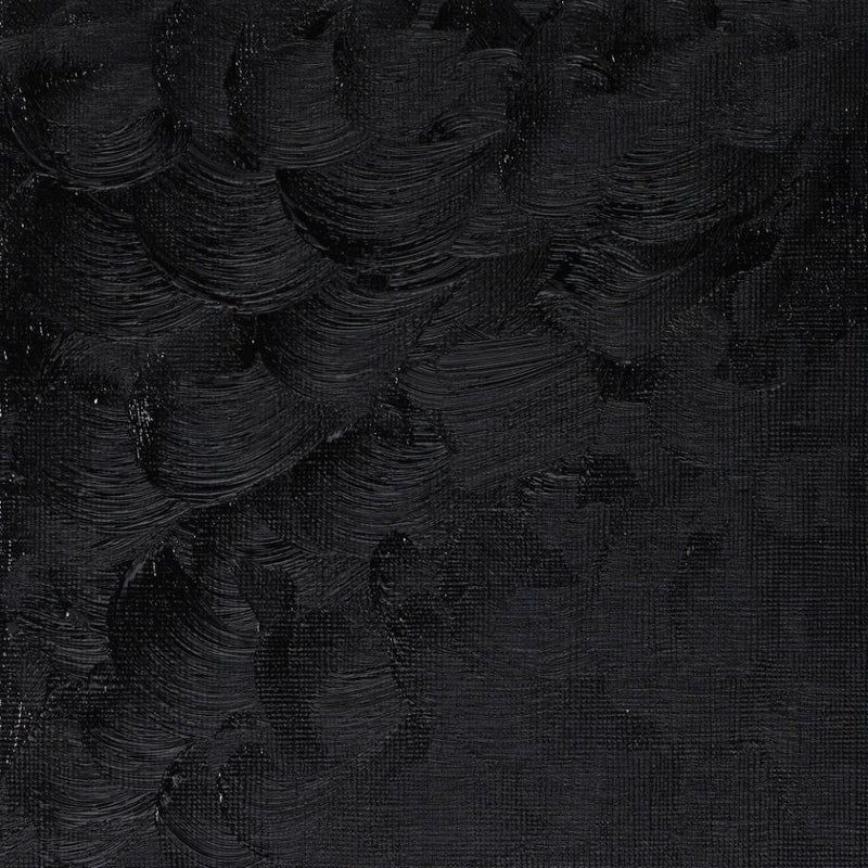 Winsor & Newton Winton Oil Color - 200 ml