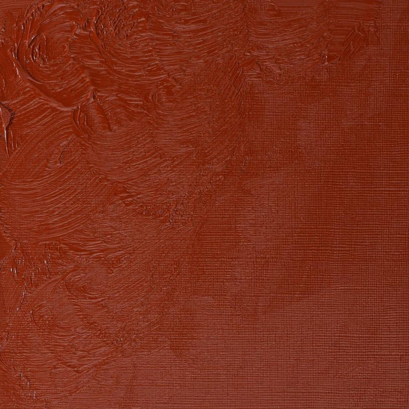 Winsor & Newton Winton Oil Colors - 37 ml