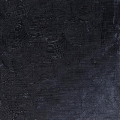 Winsor & Newton Winton Oil Color - 200 ml