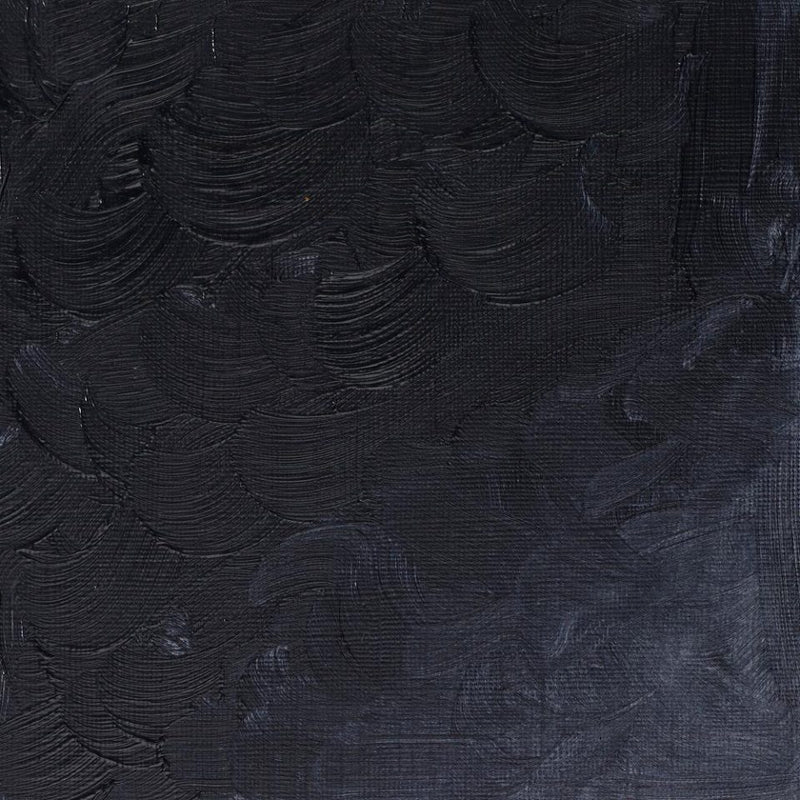 Winsor & Newton Winton Oil Color - 200 ml