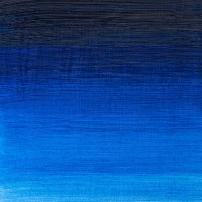 Winsor & Newton Winton Oil Color - 200 ml