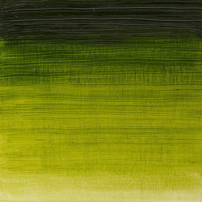 Winsor & Newton Winton Oil Color - 200 ml