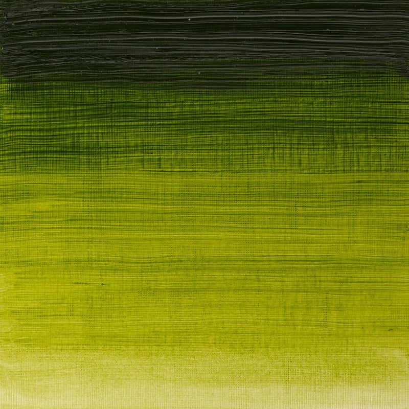 Winsor & Newton Winton Oil Color - 200 ml