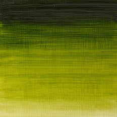 Winsor & Newton Winton Oil Colors - 37 ml