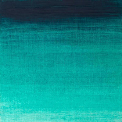 Winsor & Newton Winton Oil Color - 200 ml