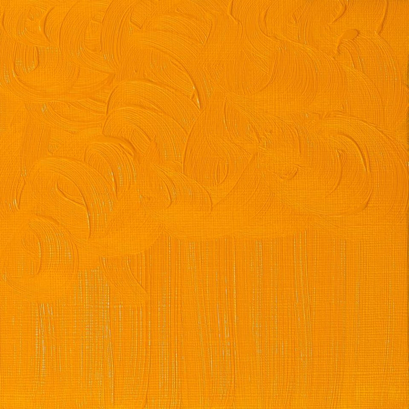 Winsor & Newton Winton Oil Color - 200 ml