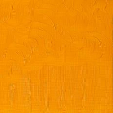 Winsor & Newton Winton Oil Colors - 37 ml