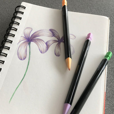 Zebra Zensations Colored Mechanical Pencils