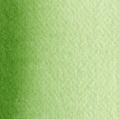 MaimeriBlu Professional Watercolors Tubes